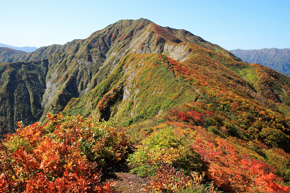 障子ヶ岳