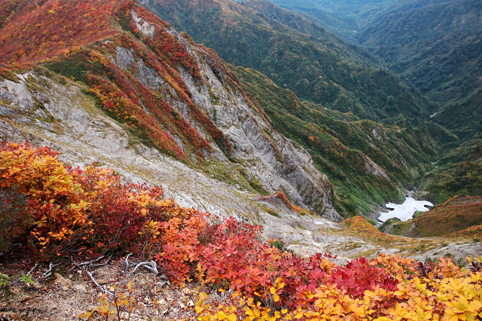 障子ヶ岳