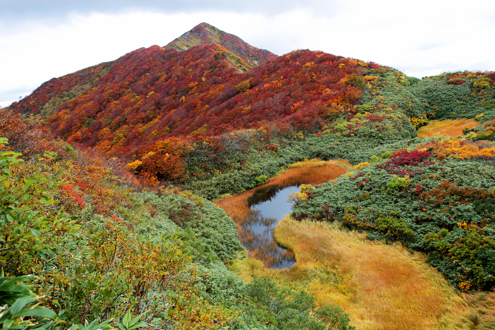 障子ヶ岳