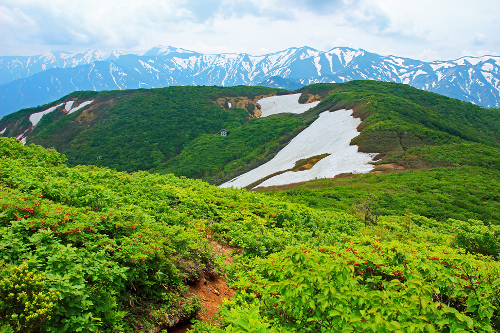 天狗角力取山