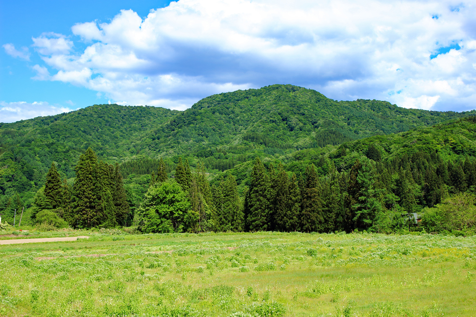 大頭森山