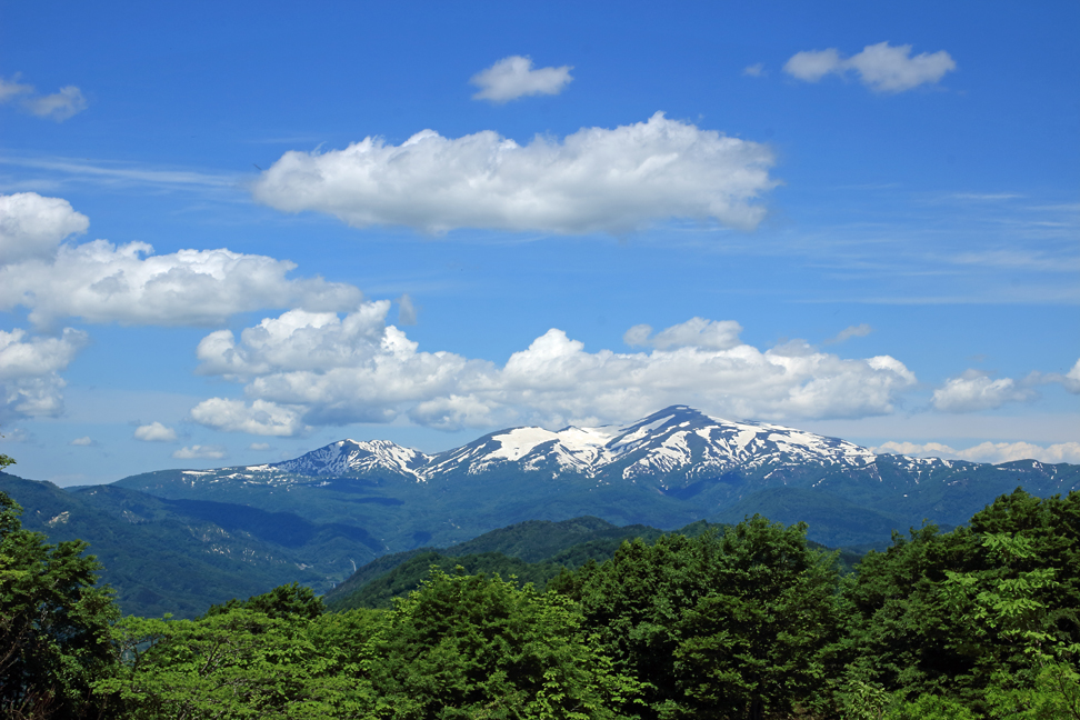 大頭森山