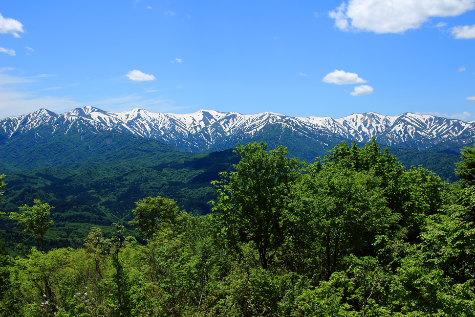 大頭森山