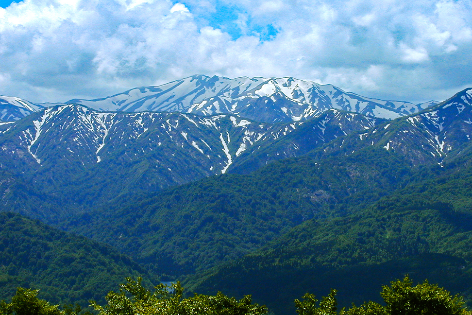 大頭森山