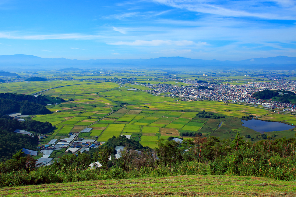 高ツムジ山
