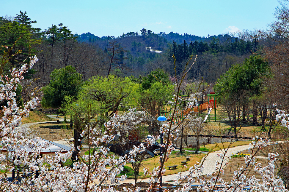 高戸屋山