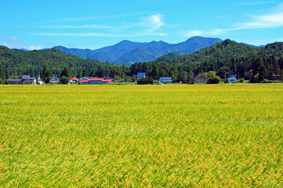駒ヶ岳