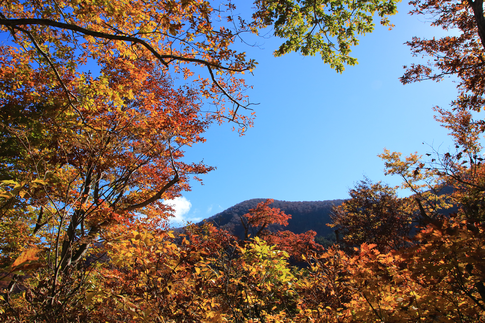 高畠駒ヶ岳