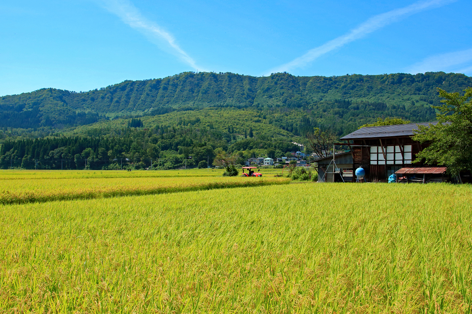 斜平山