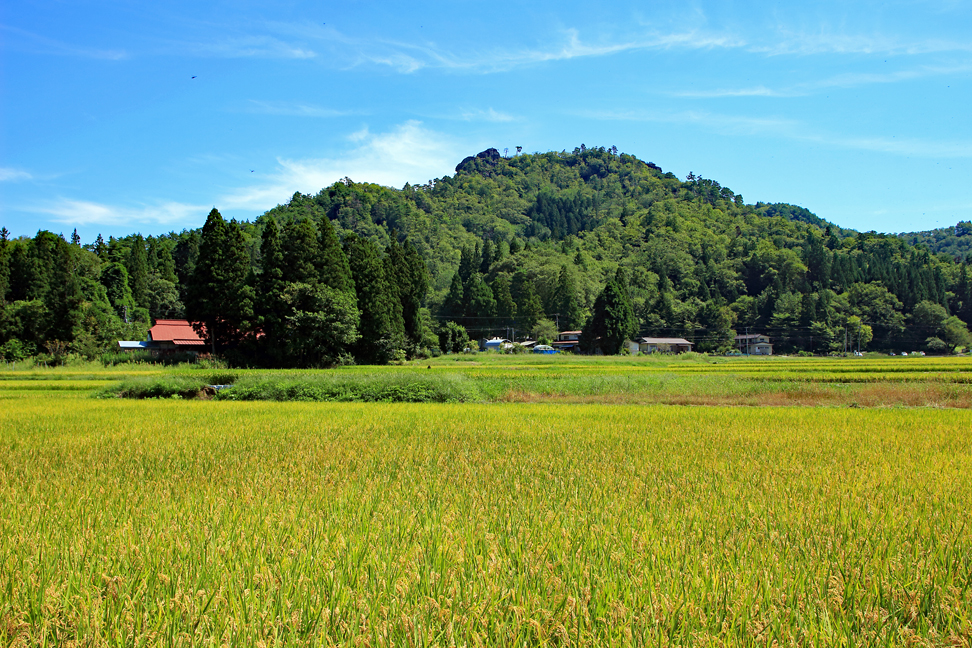 一念峰