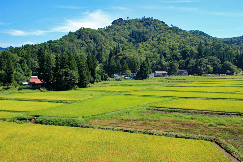 一念峰