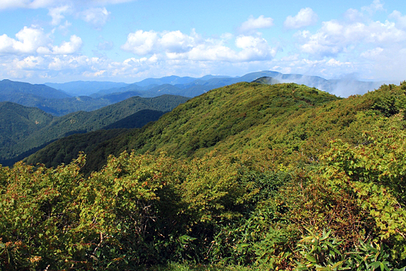 禿岳からの展望