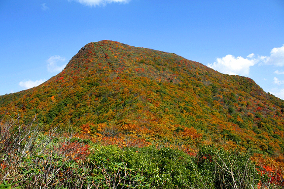 紅葉の神室岳