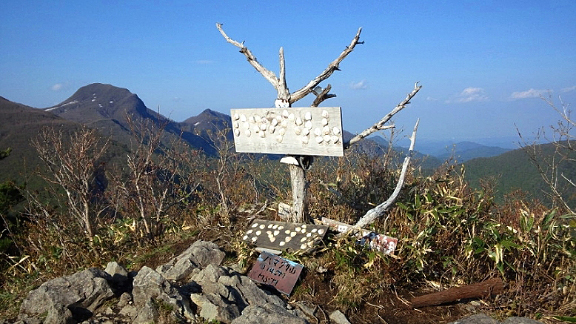 ハマグリ山山頂