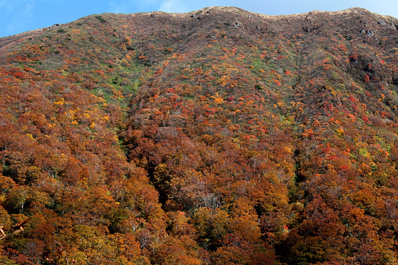 紅葉の艫ノ峰