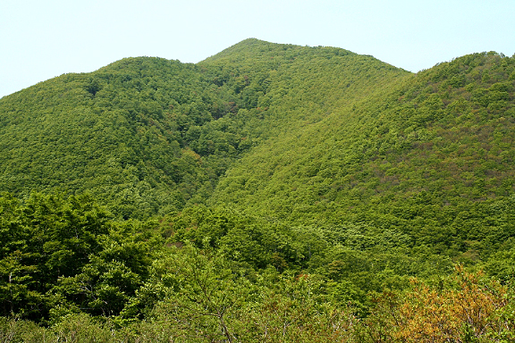 二口峠付近から仰ぐ糸岳（岩平峰）