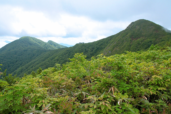 白森と黒伏山