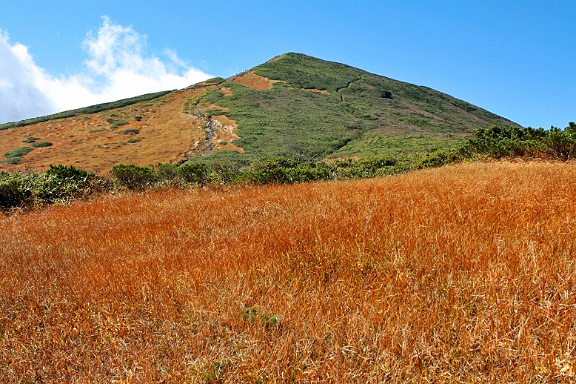 栗駒山と草紅葉