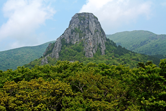 縫道石山