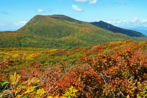 秋色の船形山