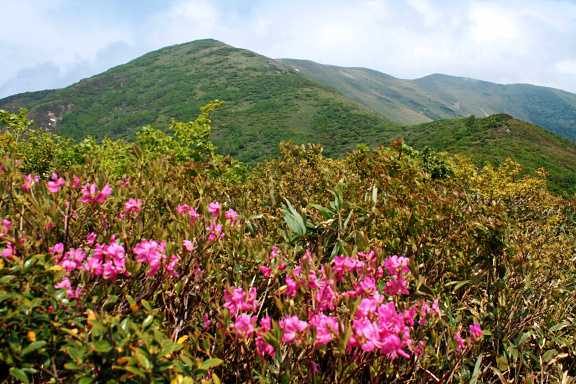 平標山を望む