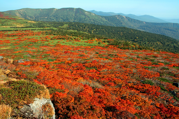 三ツ石山の紅葉