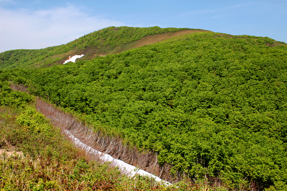 新緑の杢蔵山