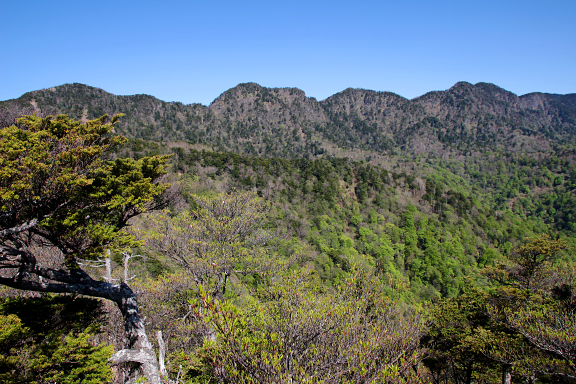 袈裟丸山