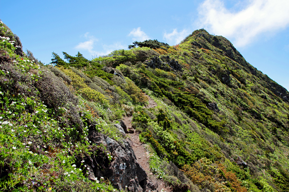 新緑の不忘山