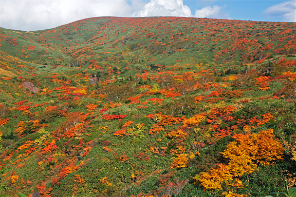紅葉の湯森山