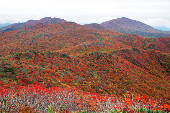 紅葉の船形連峰