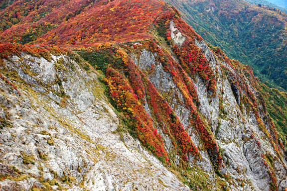 障子ヶ岳東壁
