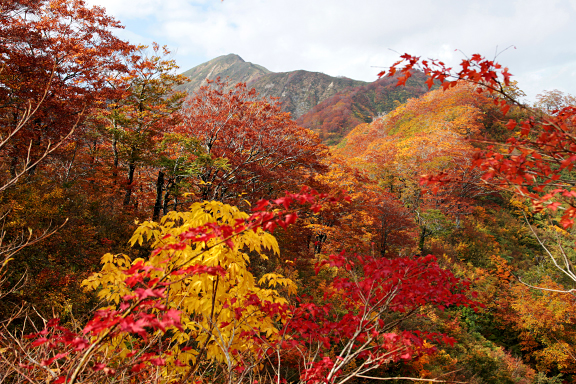 十里長峰の紅葉