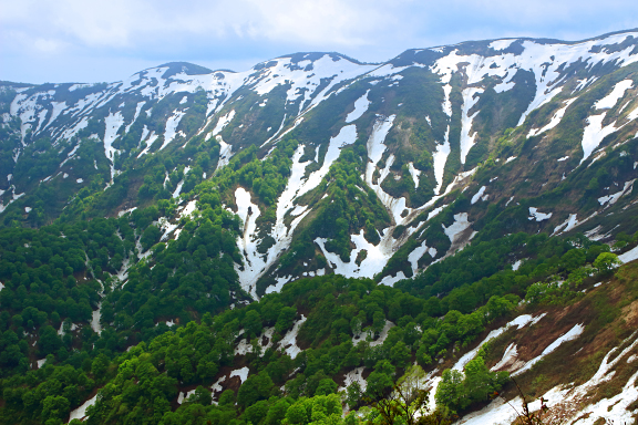 葉山の残雪と新緑