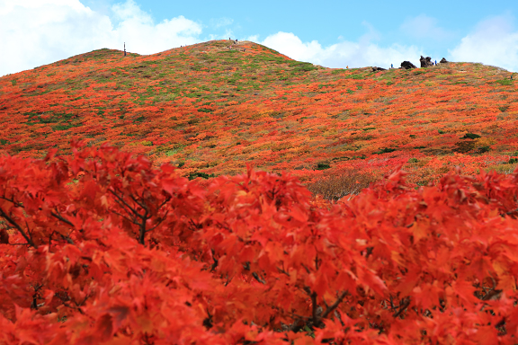 紅葉の須川岳（栗駒山）