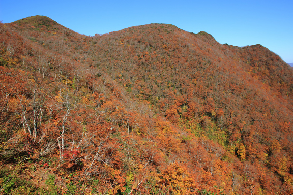 紅葉の面白山