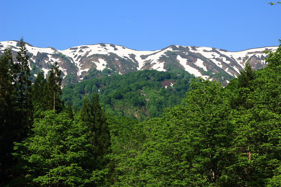 残雪の葉山