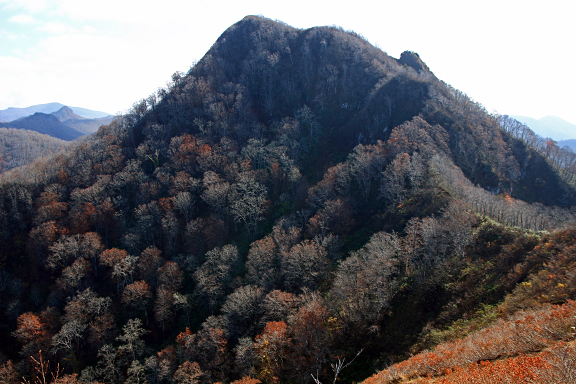 晩秋の柴倉山
