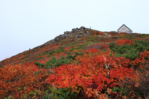 御所山山頂の紅葉