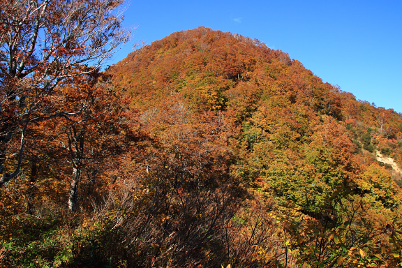 紅葉の御堂森