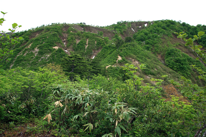 障子ヶ岳