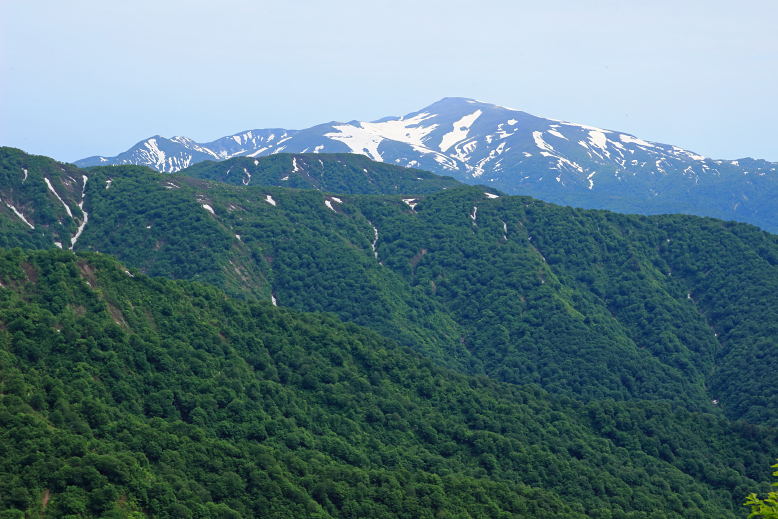 障子ヶ岳