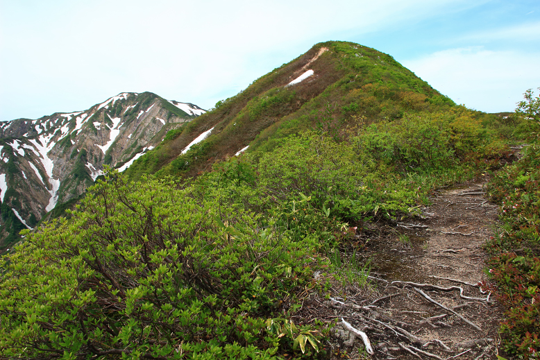障子ヶ岳
