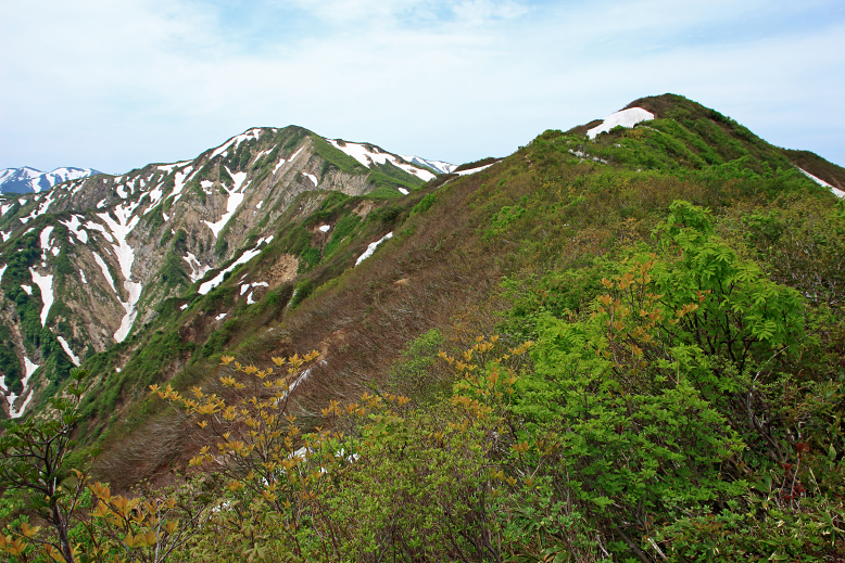 障子ヶ岳
