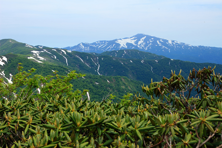 障子ヶ岳
