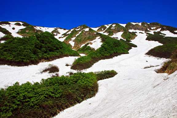 湯殿山の大雪渓
