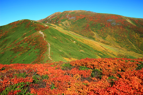 姥ヶ岳の紅葉と月山本峰