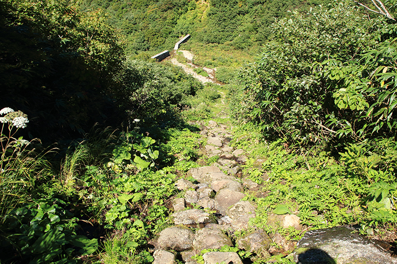 湯殿山神社