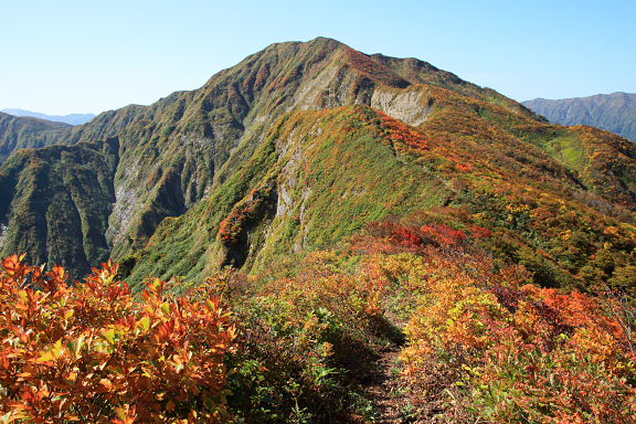 紅葉の障子ヶ岳
