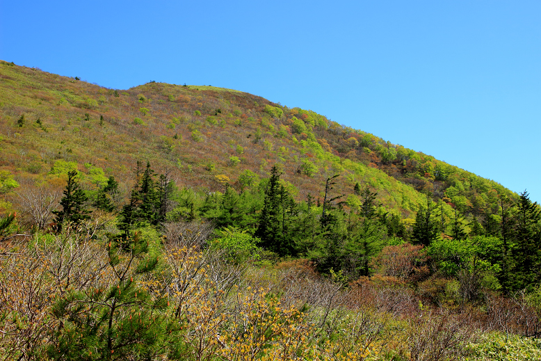 山形神室岳